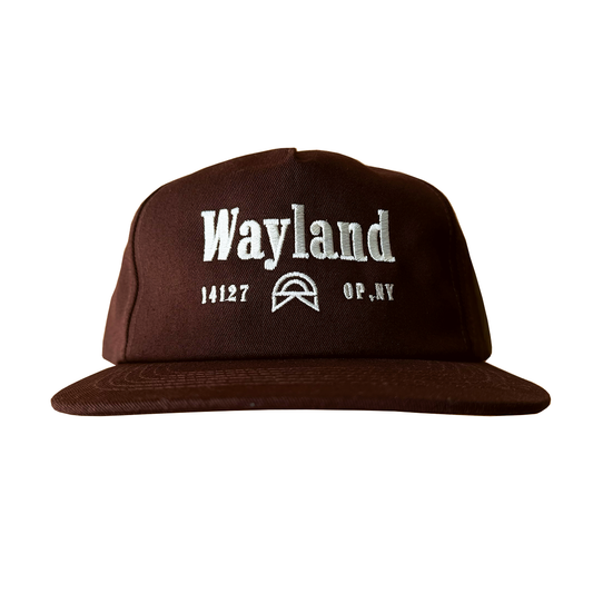 Fall '24 Brown Hat